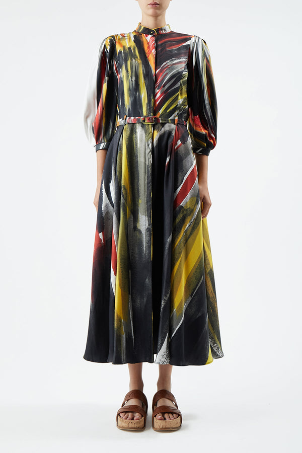 Gabriela Hearst Dexter Pleated Shirtdress In Multi Printed Silk