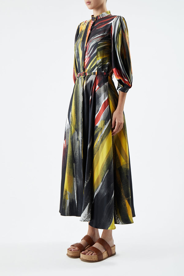 Gabriela Hearst Dexter Pleated Shirtdress In Multi Printed Silk