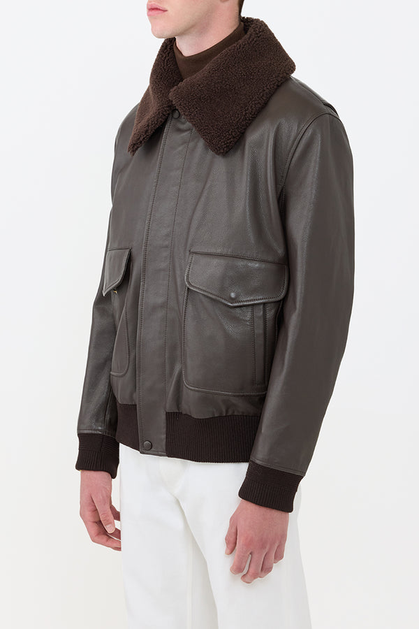 Gabriela Hearst Grant Jacket In Chocolate Leather